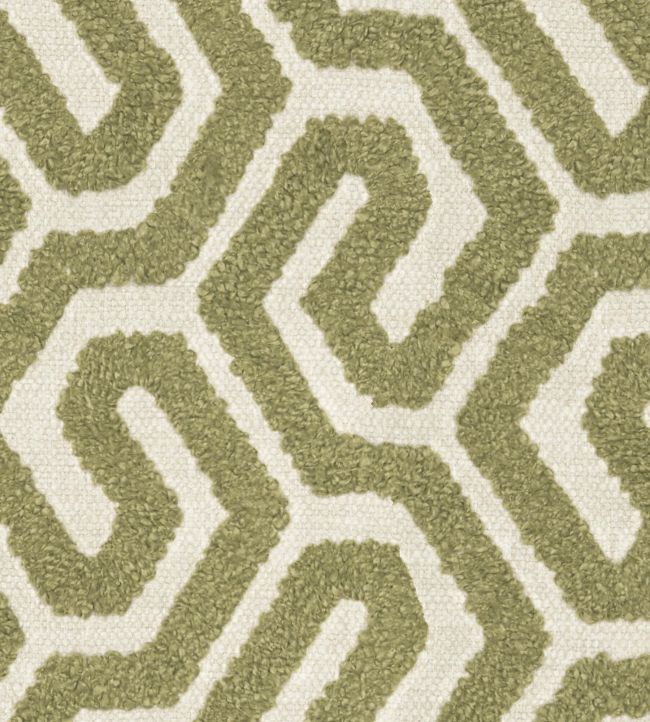 Arriba Fabric by Wemyss Avocado