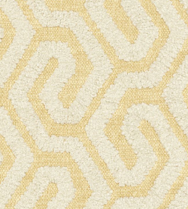 Arriba Fabric by Wemyss Straw
