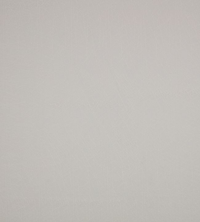 Arris FR Fabric by Villa Nova Chalk
