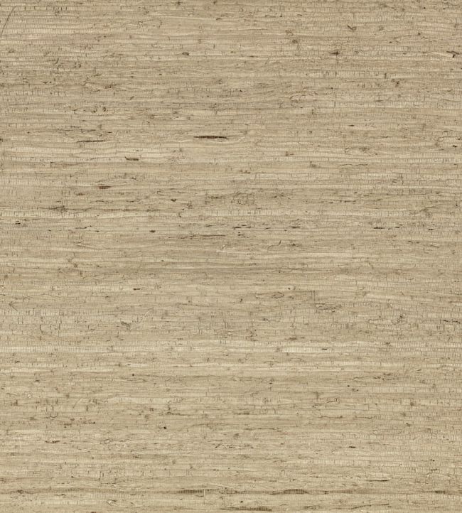 Arrowroot Wallpaper by Mark Alexander Parchment
