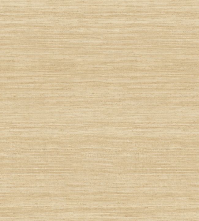 Tasar Wallpaper by Arte 24