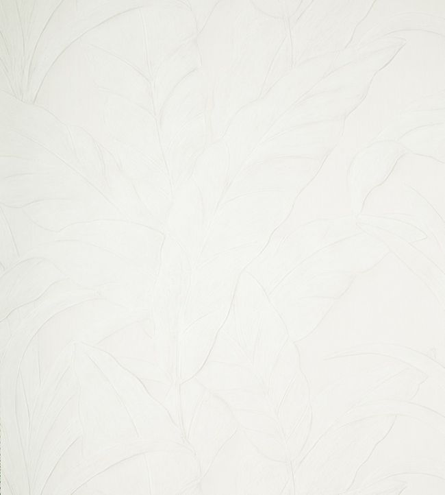 Musa Wallpaper by Arte 1