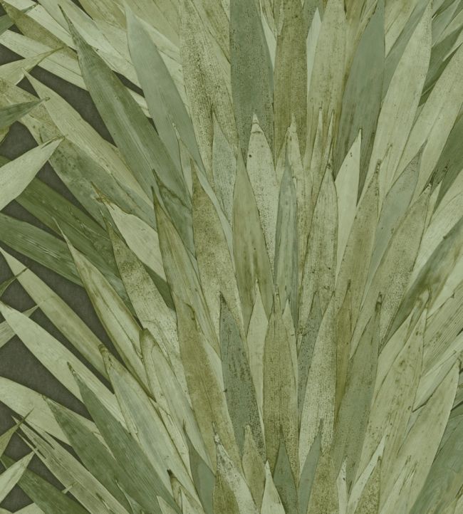 Abanico Wallpaper by Arte 1