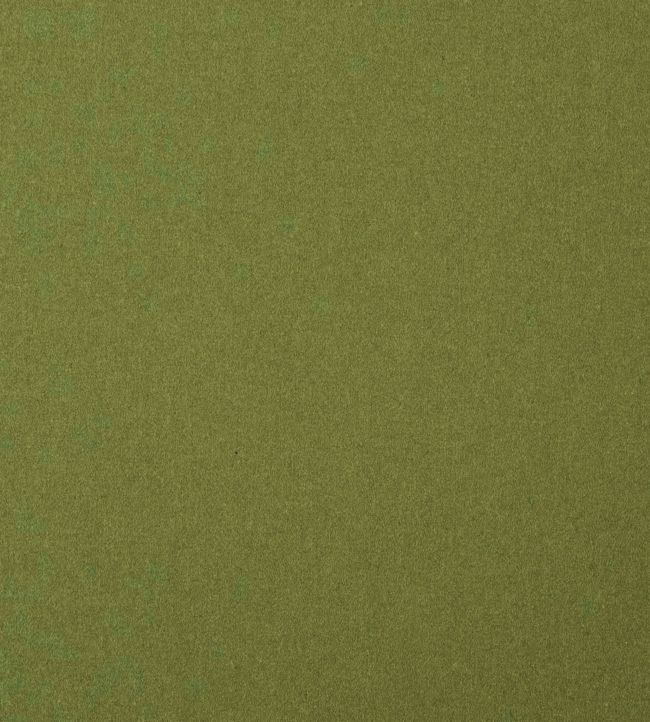 Arthur's Seat Fabric by Casamance Garden Peas