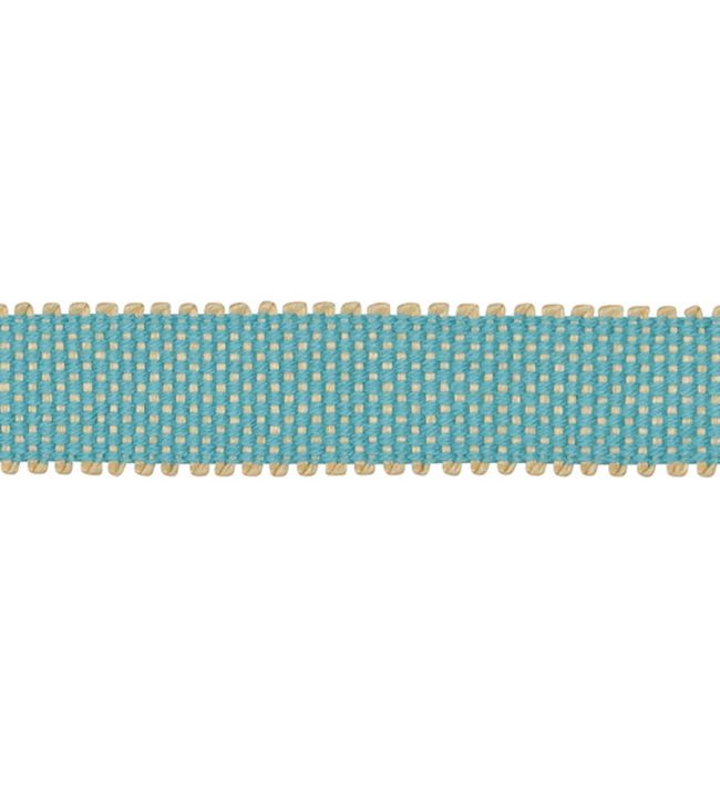 Asara Braid 15mm Trimming by Houles Aqua