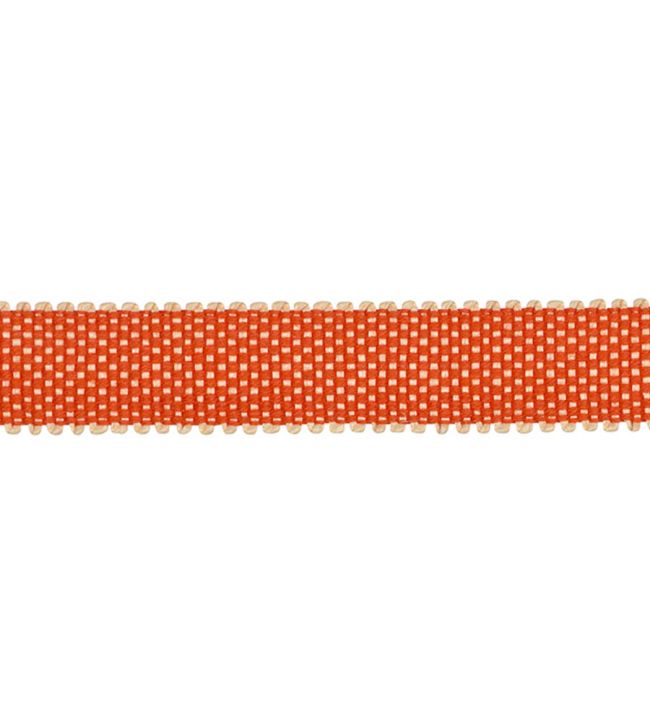 Asara Braid 15mm Trimming by Houles Capucine