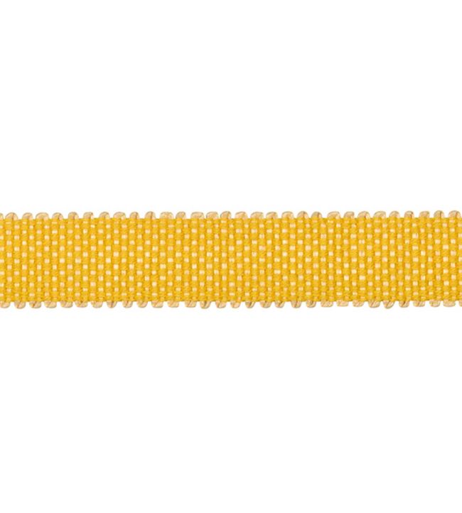 Asara Braid 15mm Trimming by Houles Tournesol