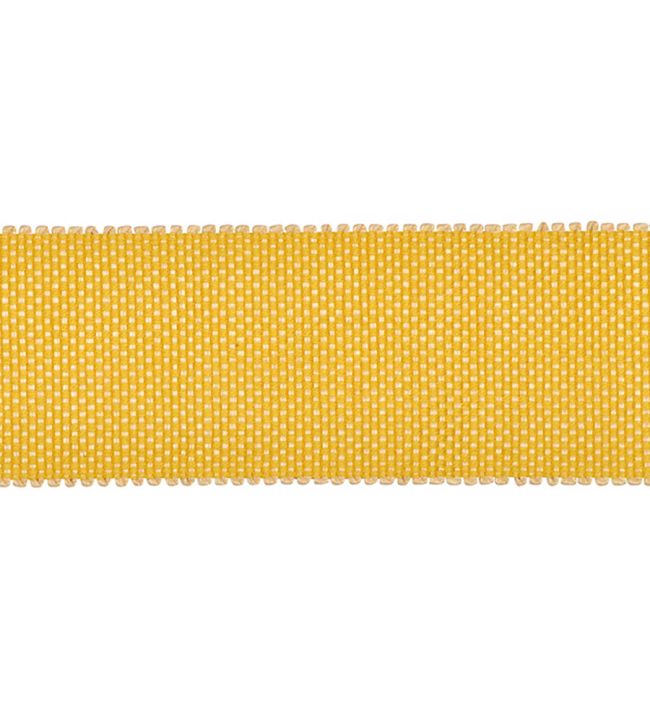 Asara Braid 40mm Trimming by Houles Tournesol