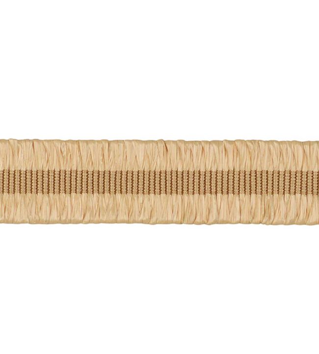 Asara Raffia Braid 20mm Trimming by Houles Panille