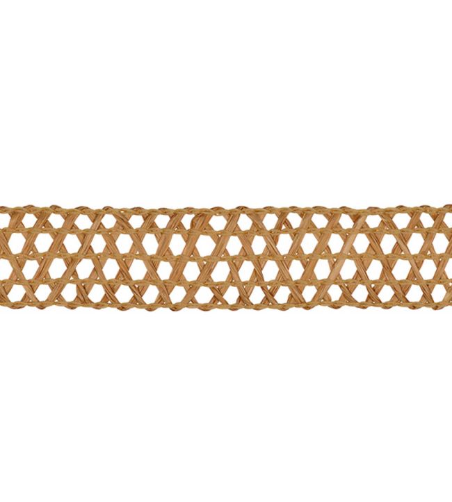 Asara Raffia Braid 23mm Trimming by Houles Chaume