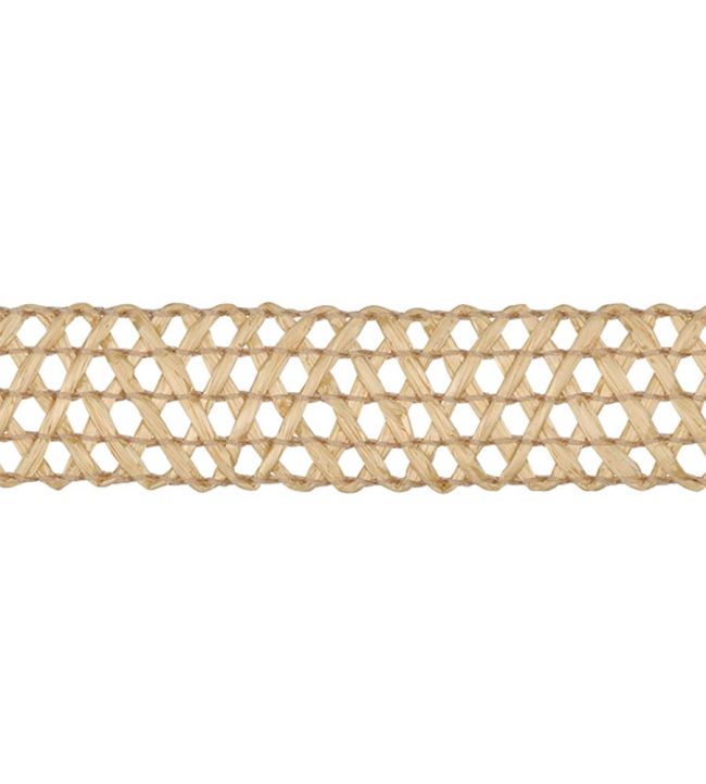 Asara Raffia Braid 23mm Trimming by Houles Creme
