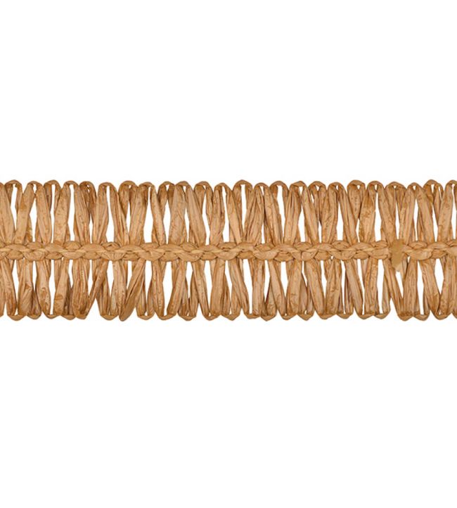 Asara Raffia Braid 33mm Trimming by Houles Chaume