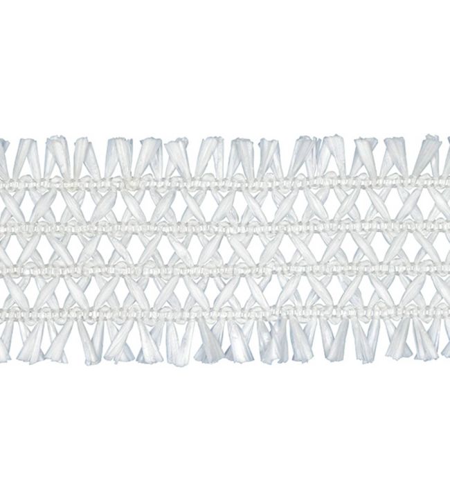 Asara Raffia Braid 60mm Trimming by Houles Blanc