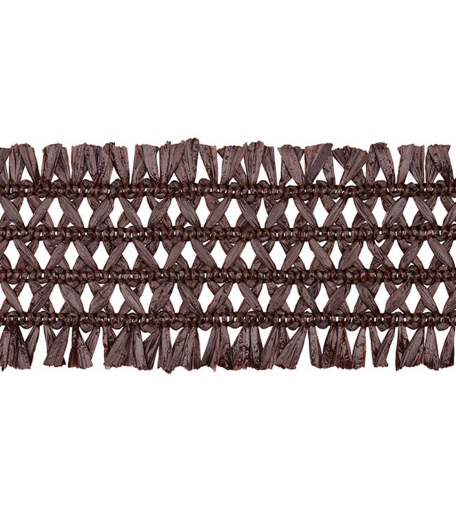 Asara Raffia Braid 60mm Trimming by Houles Brun