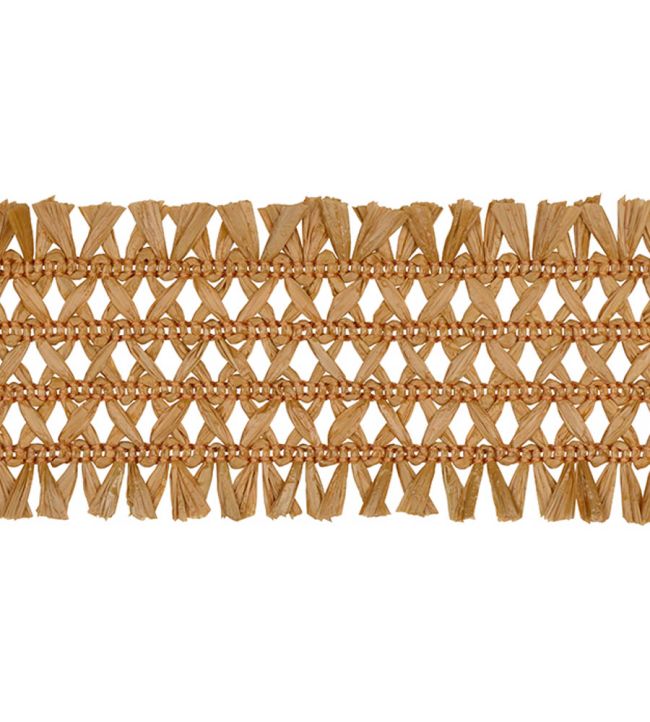 Asara Raffia Braid 60mm Trimming by Houles Chaume