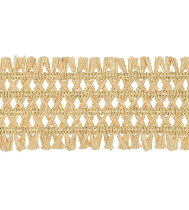 Asara Raffia Braid 60mm Trimming by Houles Creme