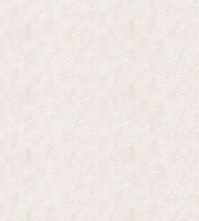 Ashkam Fabric by GP & J Baker Ivory