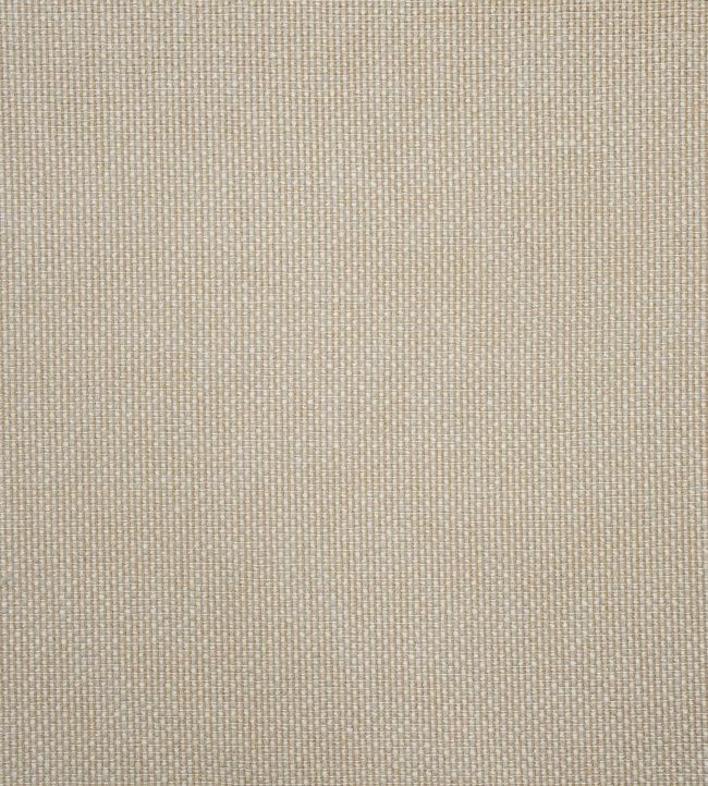 Ashkirk Fabric by Jim Thompson No.9 Barley