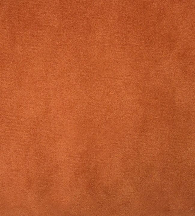 Alaska Fabric by Ashley Wilde Rust