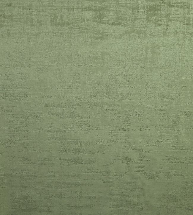 Dakota Fabric by Ashley Wilde Olive