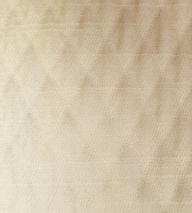 Alie Fabric by Ashley Wilde Champagne