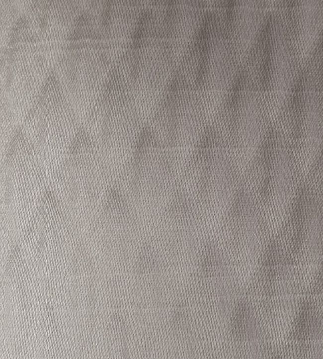 Alie Fabric by Ashley Wilde Graphite