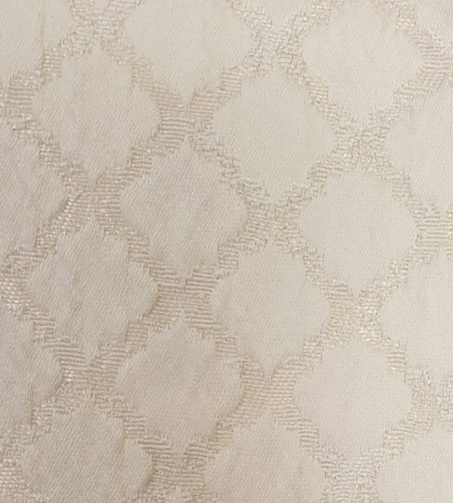 Atwood Fabric by Ashley Wilde Champagne