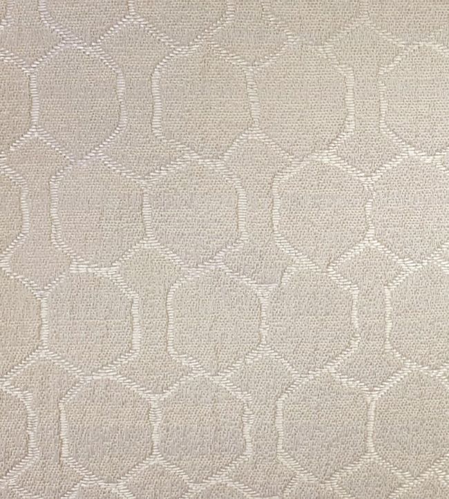 Digby Fabric by Ashley Wilde Champagne