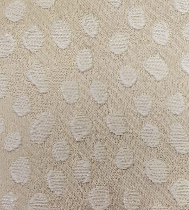 Furley Fabric by Ashley Wilde Champagne