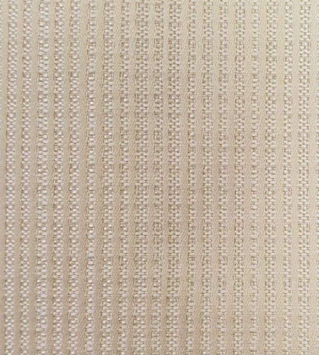 Gilden Fabric by Ashley Wilde Champagne