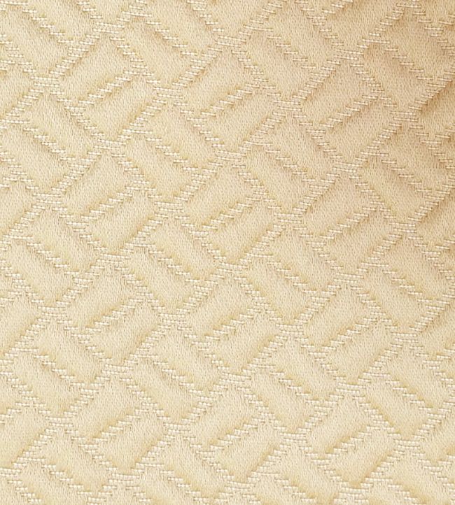 Moreton Fabric by Ashley Wilde Gold