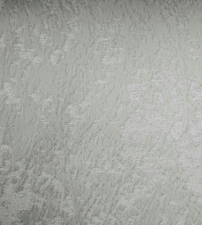 Poplar Fabric by Ashley Wilde Platinum