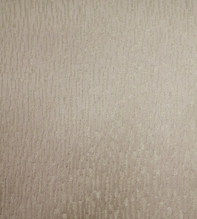 Shiloh Fabric by Ashley Wilde Champagne