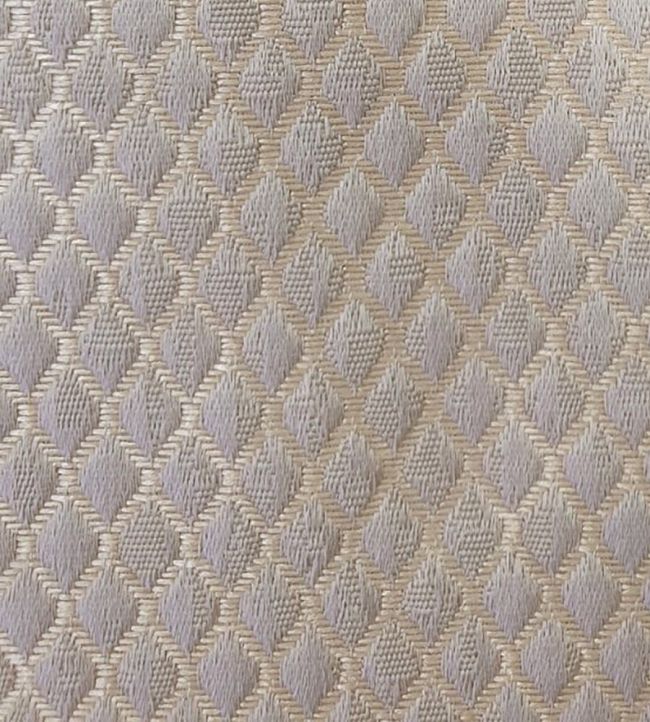 Trebeck Fabric by Ashley Wilde Champagne