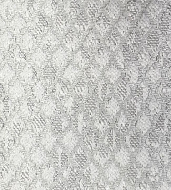 Trebeck Fabric by Ashley Wilde Platinum