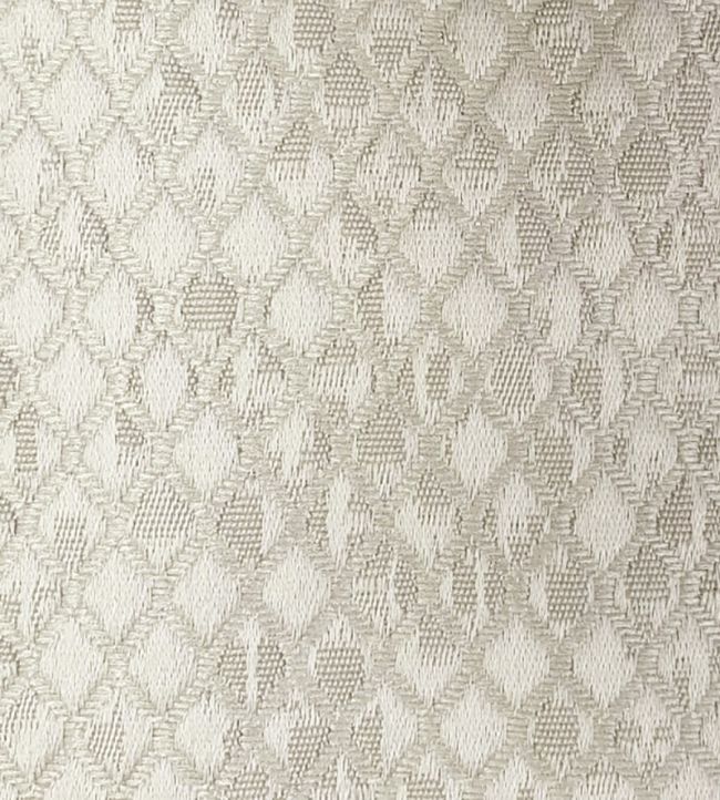 Trebeck Fabric by Ashley Wilde Taupe