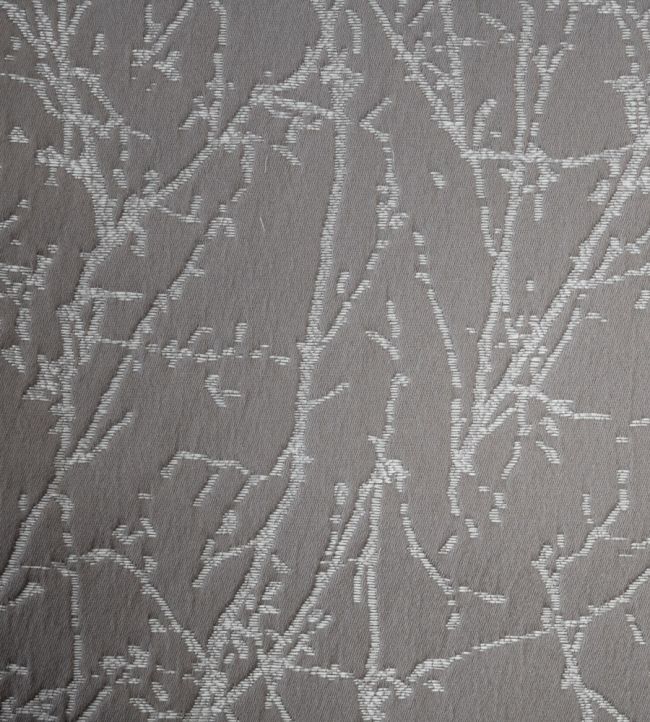Waltham Fabric by Ashley Wilde Graphite