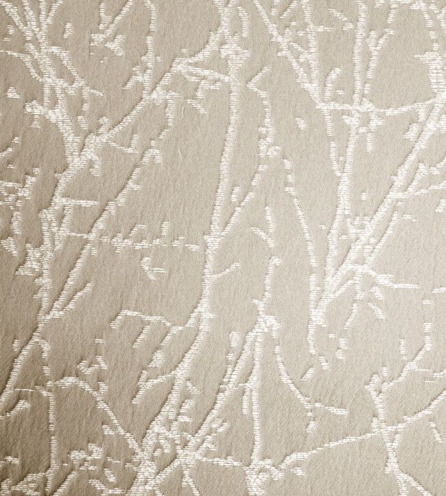 Waltham Fabric by Ashley Wilde Taupe