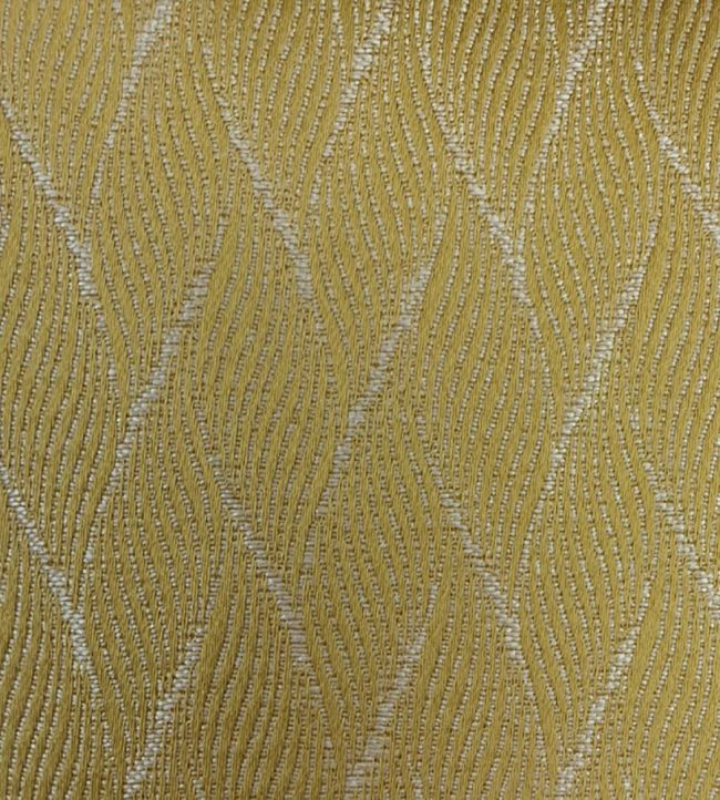 Eldon Fabric by Ashley Wilde Zest