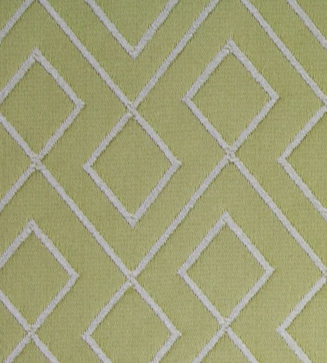 Kinver Fabric by Ashley Wilde Apple
