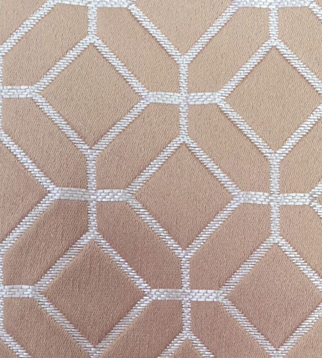 Lanark Fabric by Ashley Wilde Rose Gold