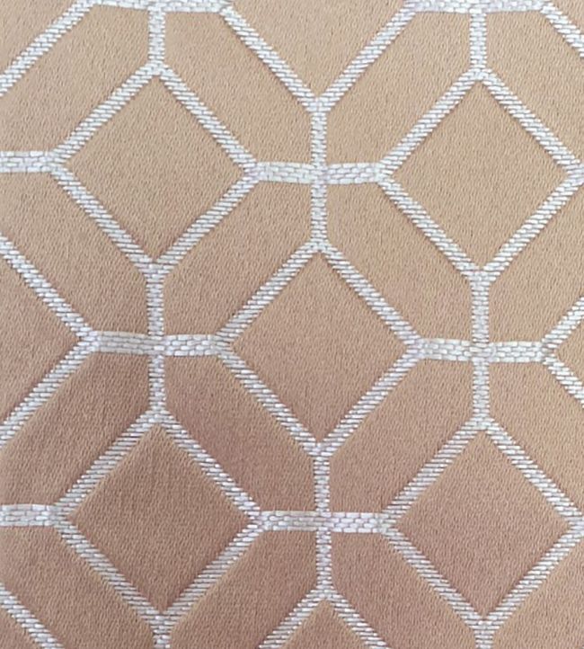 Lanark Fabric by Ashley Wilde Shell