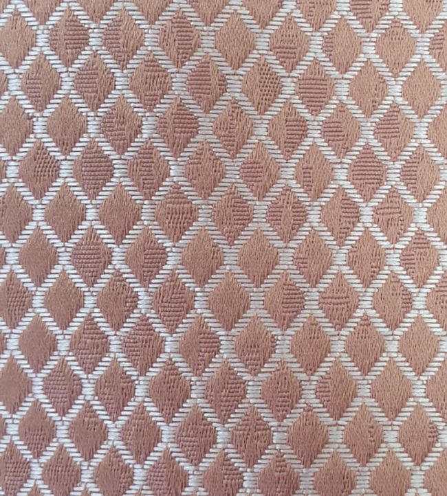 Trebeck Fabric by Ashley Wilde Rose Gold