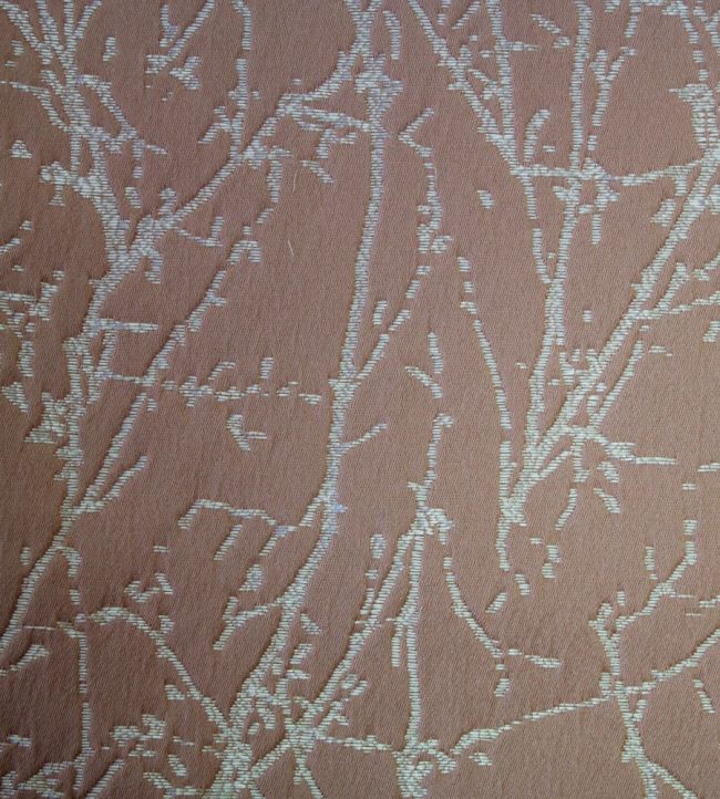 Waltham Fabric by Ashley Wilde Shell
