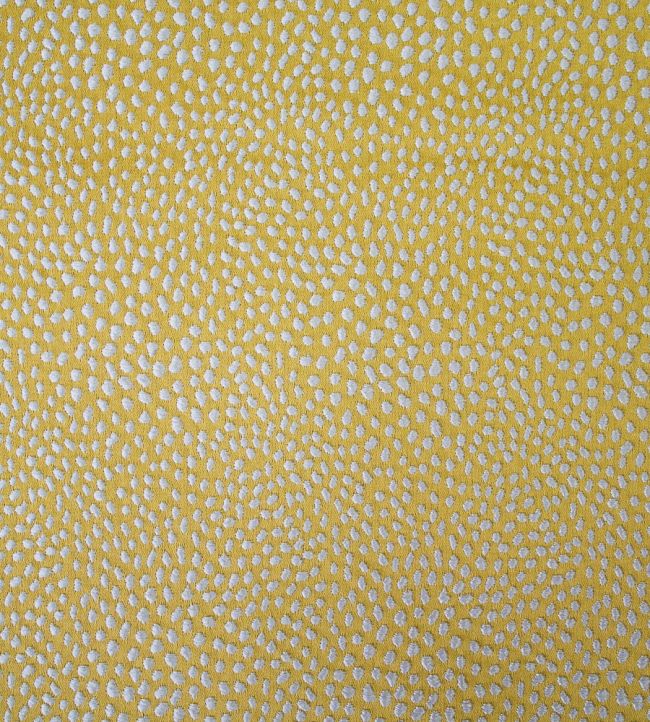 Blean Fabric by Ashley Wilde Buttercup