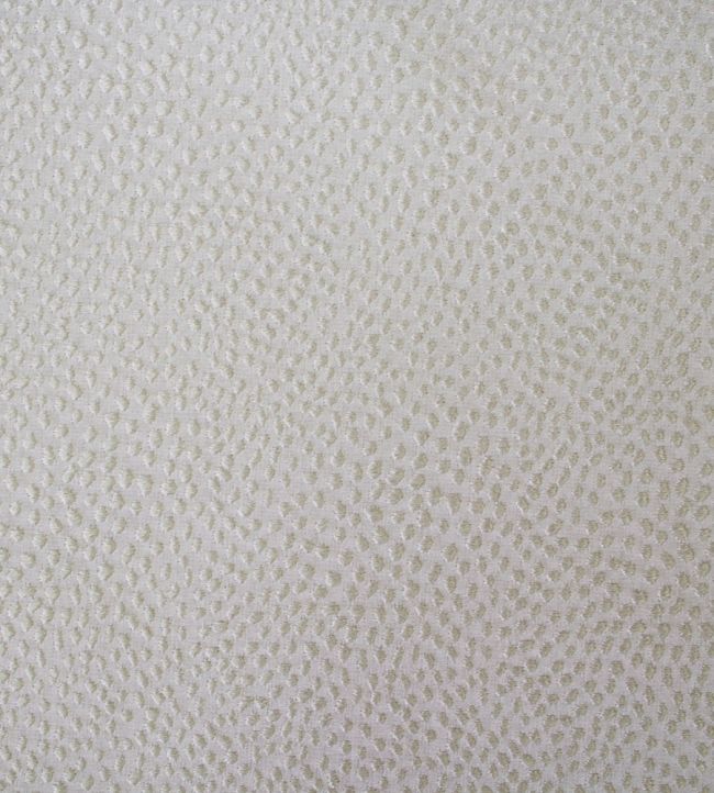 Blean Fabric by Ashley Wilde Dove