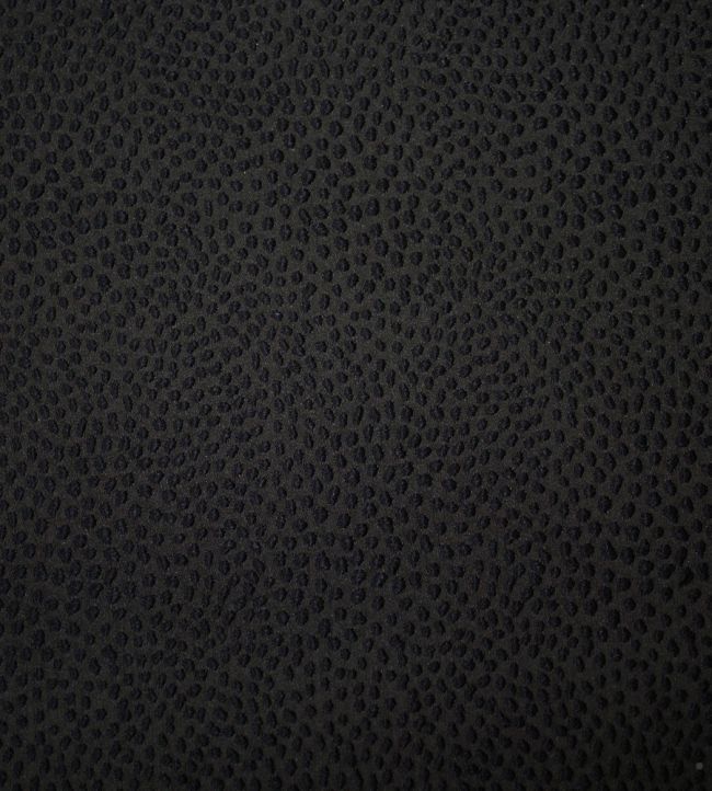 Blean Fabric by Ashley Wilde Ebony