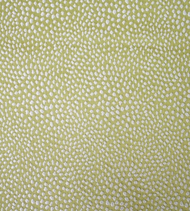 Blean Fabric by Ashley Wilde Pistachio