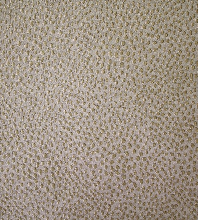 Blean Fabric by Ashley Wilde Taupe