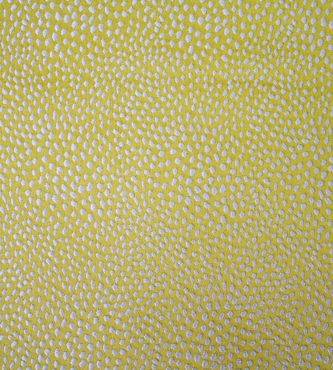 Blean Fabric by Ashley Wilde Zest